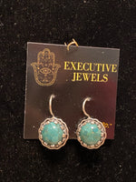 SS Turquoise Round Earring