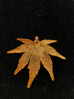Copper Plated Japanese Maple Leaf