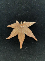 Rose Silver Japanese Maple Leaf